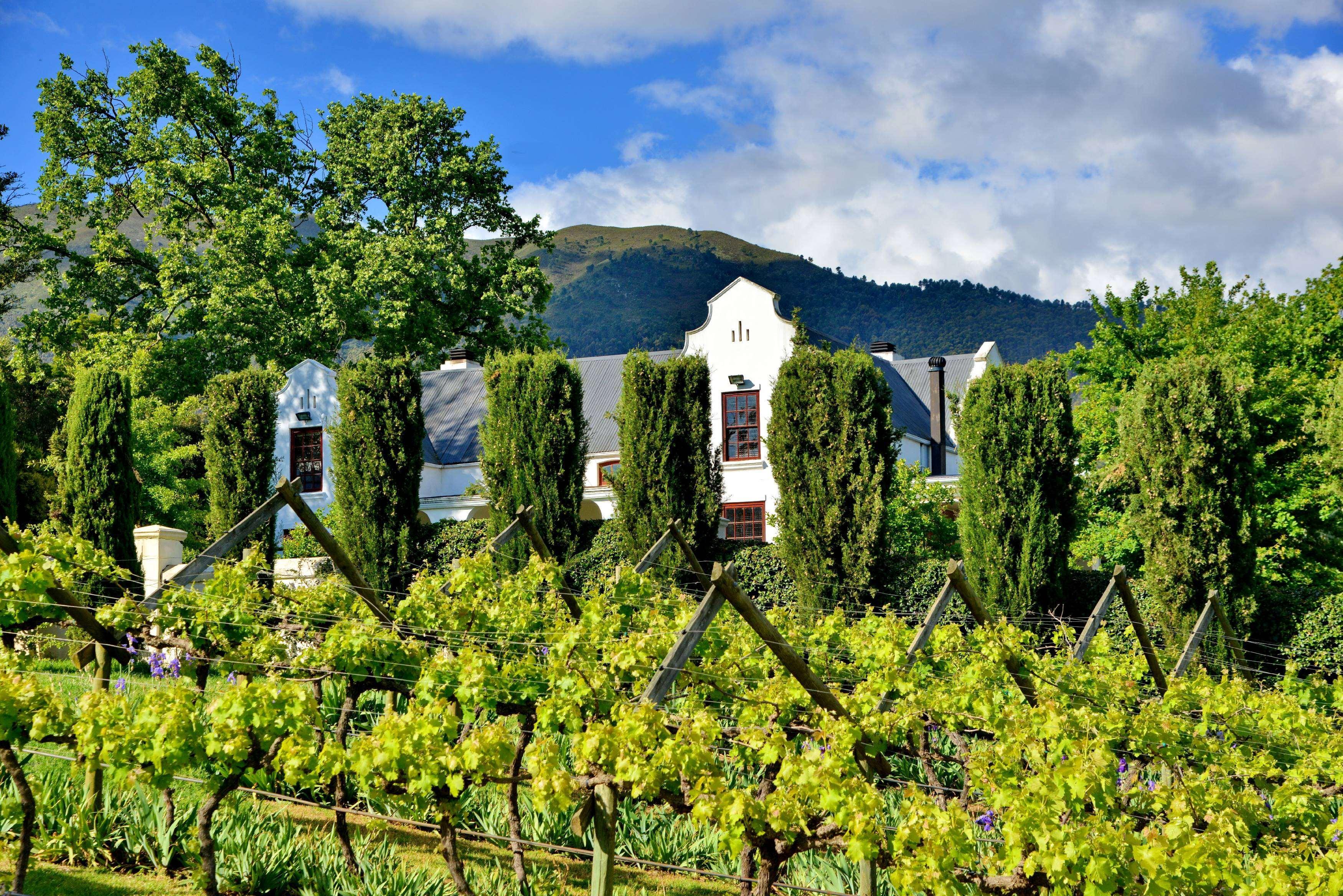 Val Du Charron Wine & Leisure Estate Otel Wellington Dış mekan fotoğraf
